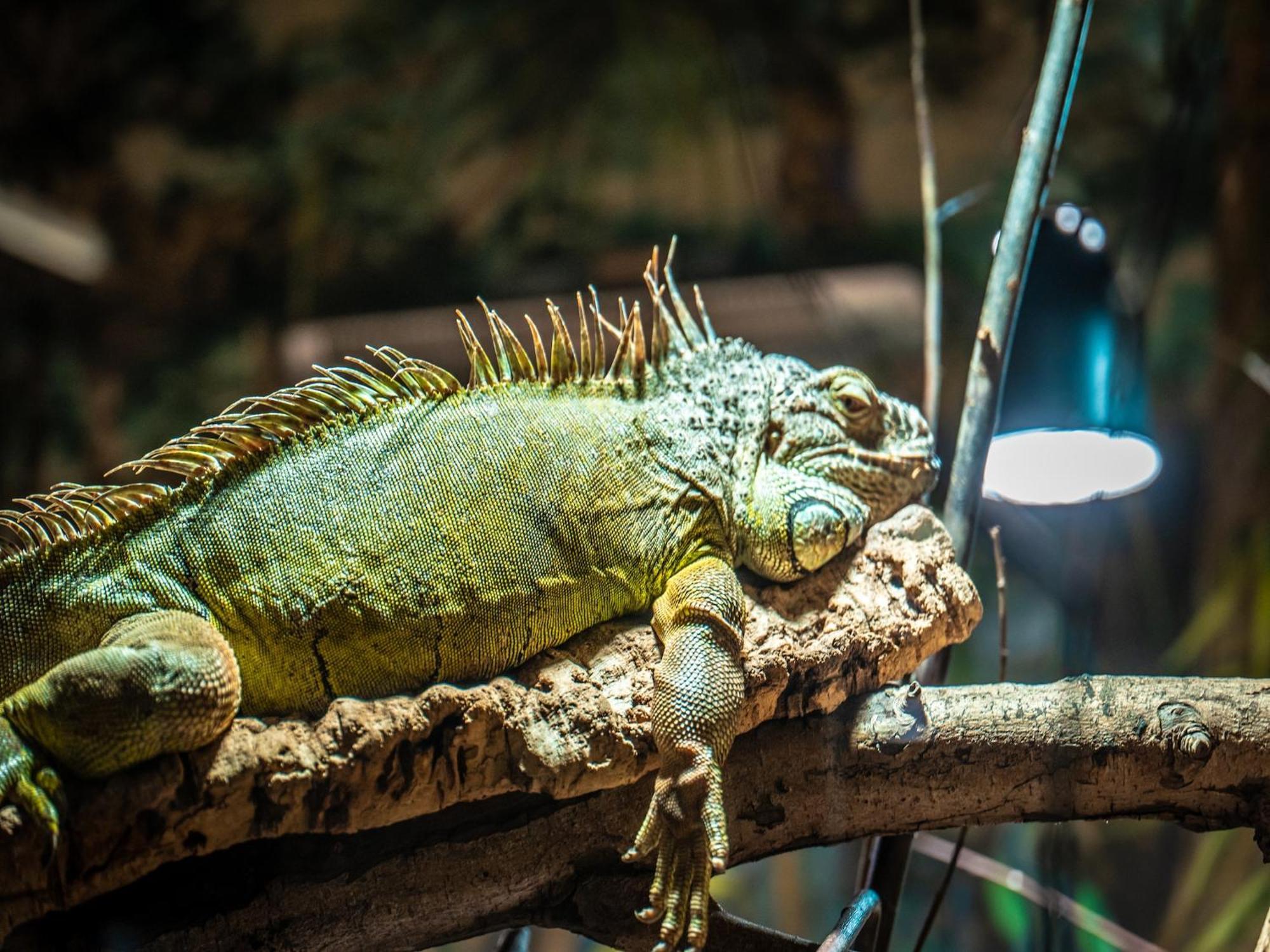 Doppelhaushaelften Im Ferien- Und Freizeitpark Weissenhaeuser Strand ภายนอก รูปภาพ
